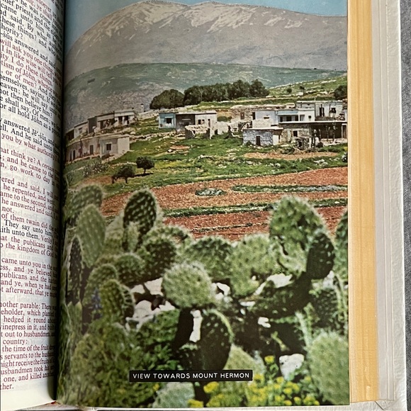 Holy Bible in Cedar Wood Presentation Box - Picture 11 of 16